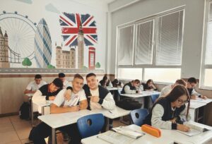 pexels photo 29242208